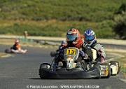 DSC_7049 copie